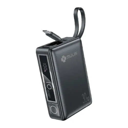 Powerbank 10.000 mAh 30 W con cavo TYPE-C per tutti i tipi di dispositivi mobile