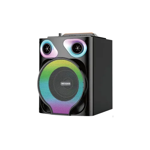 Altoparlante Bluetooth Portatile 10 W con Microfono Cablato Luci RGB HiFi Nero