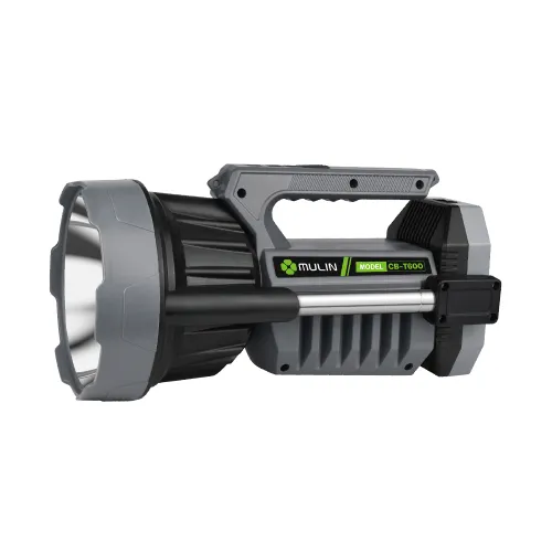 Rechargeable Portable Lamp 20 W 1750 lm with Telescopic Pole Power Bank Type-C
